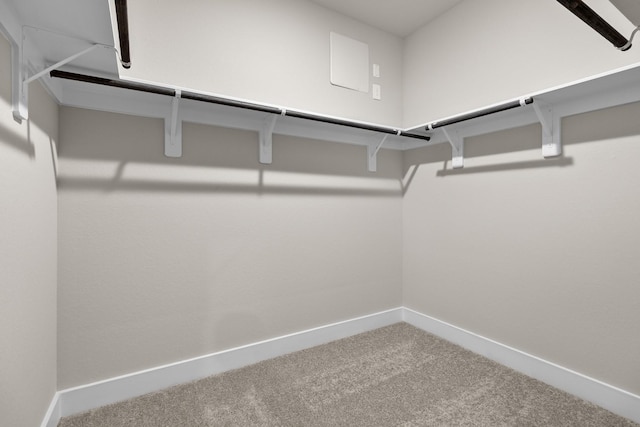 15214 Prairie Mill Dr, New Caney, TX 77357 - walk in closet with carpet