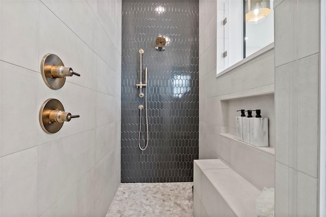 4233 Padova Cir, College Station, TX 77845 - full bathroom featuring tile walls and tiled shower