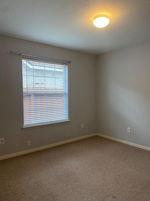 spare room with baseboards and carpet floors