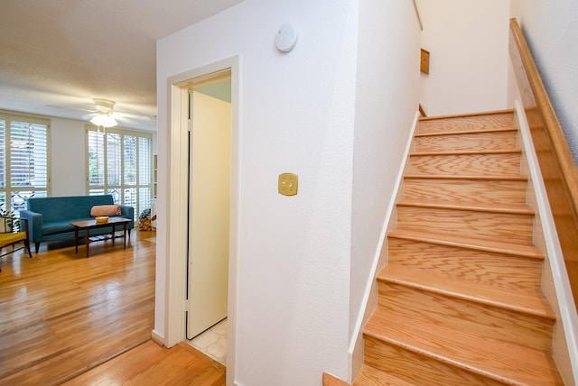 stairs featuring wood finished floors and a ceiling fan