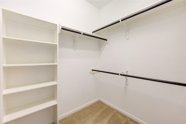 22526 Forbes Field Trl, Spring, TX 77389 - walk in closet featuring light colored carpet