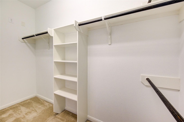 22526 Forbes Field Trl, Spring, TX 77389 - spacious closet with light carpet