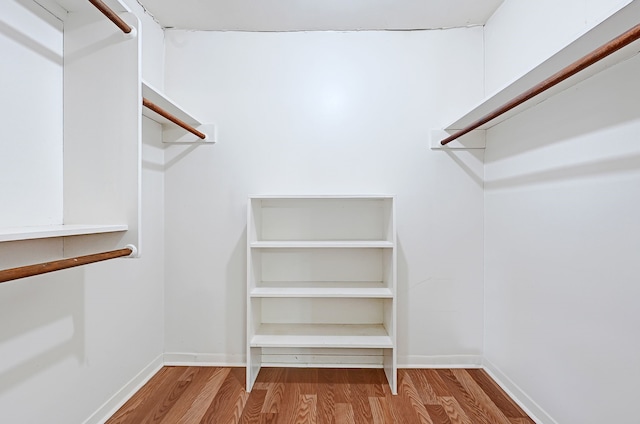 spacious closet featuring wood finished floors