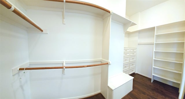 108 W Pines Dr, Montgomery, TX 77356 - spacious closet featuring dark wood finished floors