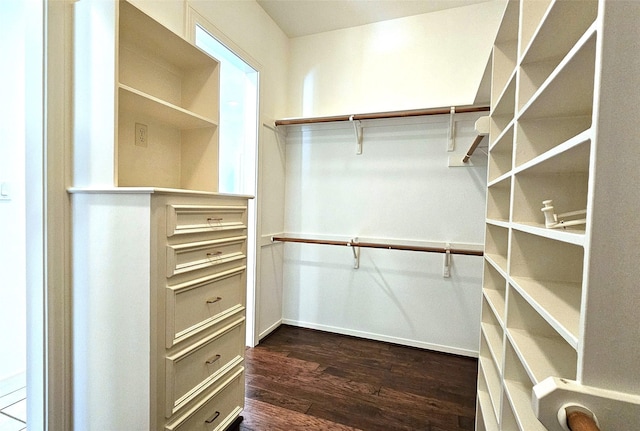 108 W Pines Dr, Montgomery, TX 77356 - spacious closet with dark wood finished floors