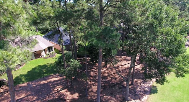 108 W Pines Dr, Montgomery, TX 77356 - aerial view of property and surrounding area