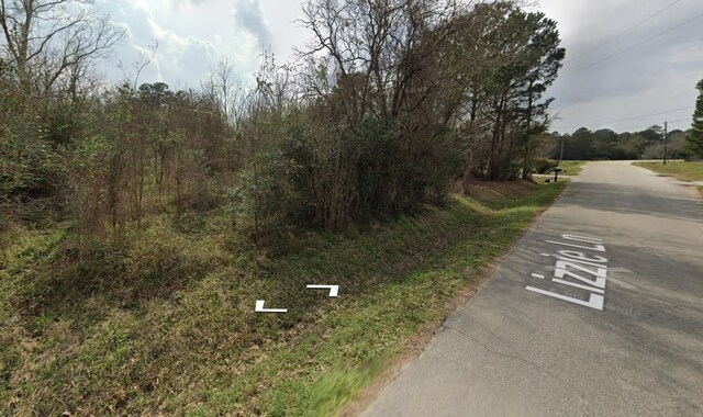 000 Lizzie Ln, Tomball, TX 77375