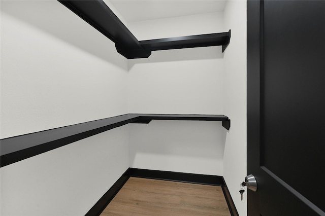 spacious closet featuring wood finished floors