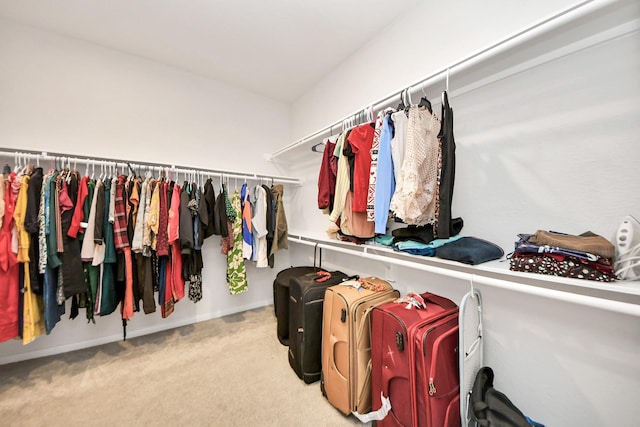 walk in closet featuring carpet