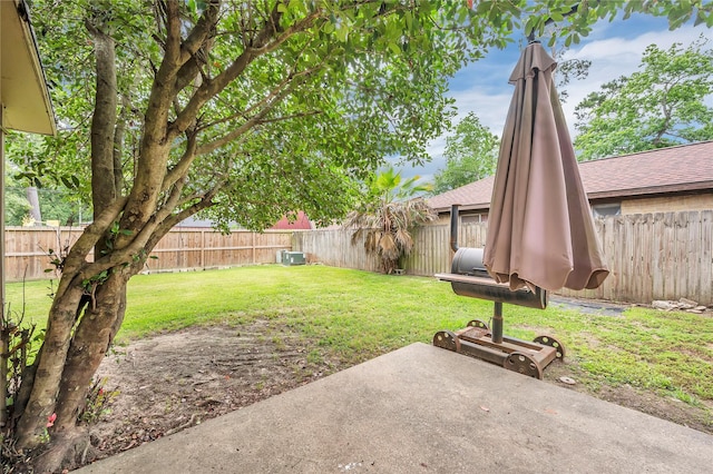 2422 Deasa Dr, Spring, TX 77373 - view of yard featuring a patio area and a fenced backyard