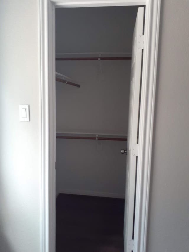 view of closet