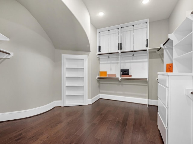 walk in closet featuring dark wood-style floors