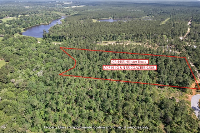 244 County Road 4455, Hillister, TX 77624 - photo 1