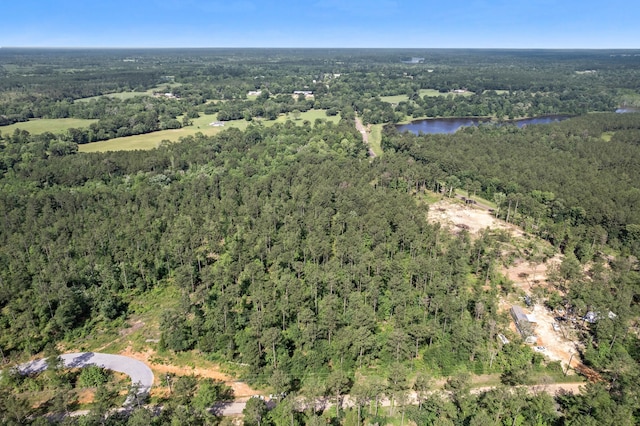 244 County Road 4455, Hillister, TX 77624 - photo 4