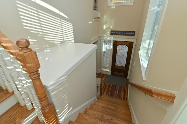 stairs featuring wood finished floors