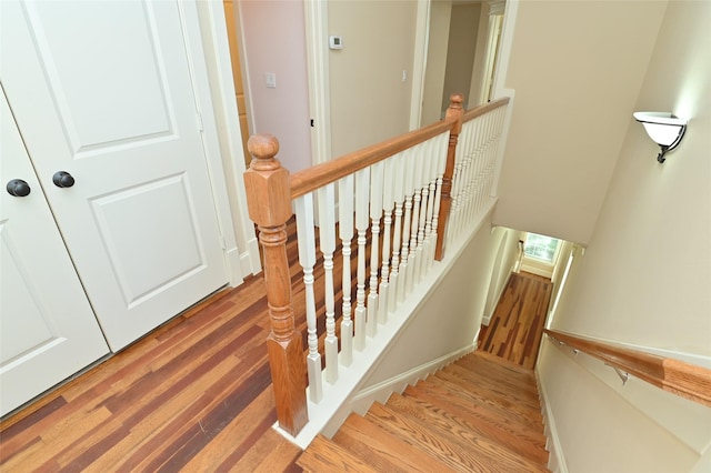 staircase featuring wood finished floors
