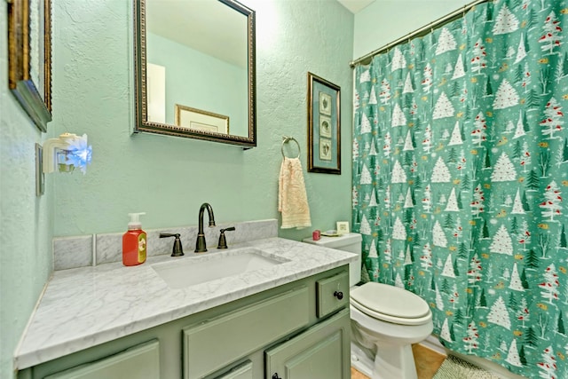 9203 Baber Run Cir, Houston, TX 77095 - bathroom with a textured wall, toilet, vanity, and a shower with curtain
