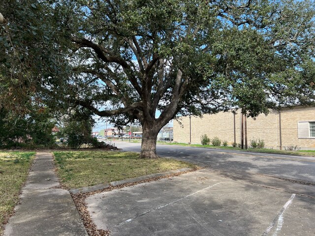 218 W Blum St, Alvin, TX 77511