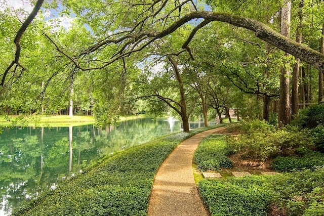 179 Litchfield Ln, Houston, TX 77024 - view of community featuring a water view