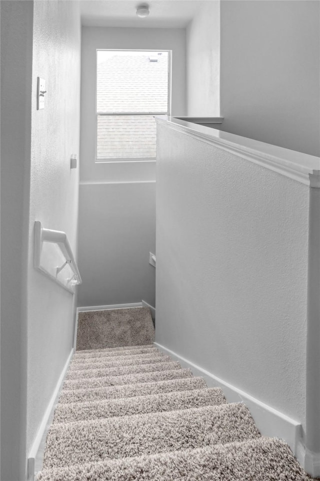 21618 Falvel Lake Dr, Spring, TX 77388 - stairway featuring a textured wall and carpet floors