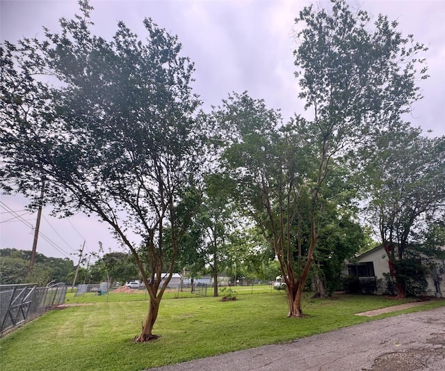 10366 County Road 909, Alvin, TX 77511 - view of yard