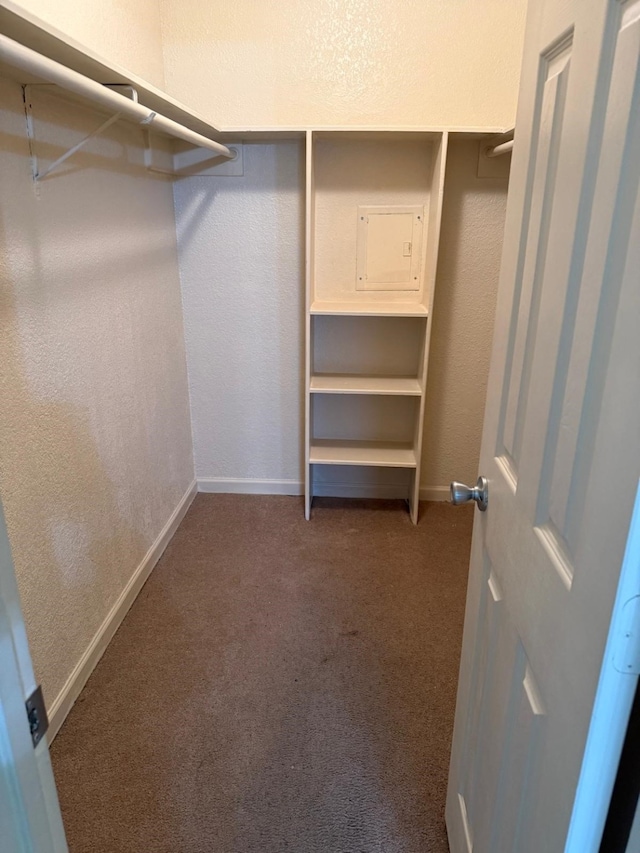 walk in closet with carpet