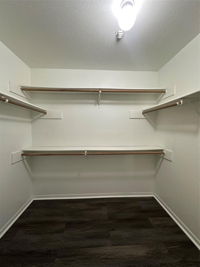 spacious closet featuring dark wood finished floors