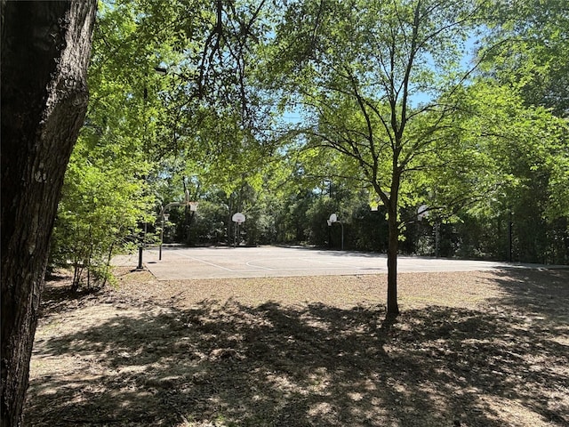 34 Quiet Peace Pl, The Woodlands, TX 77381 - surrounding community featuring community basketball court