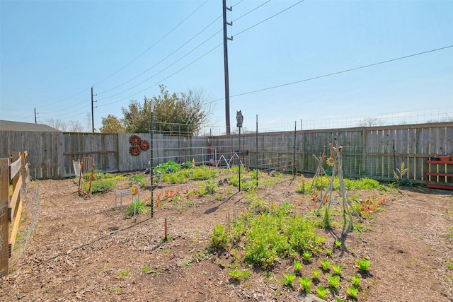 6919 Champion Trl, Katy, TX 77493 - fenced backyard featuring a garden