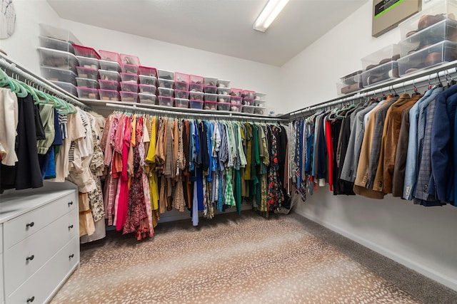 20710 Kings Timber Trl, Humble, TX 77346 - view of spacious closet