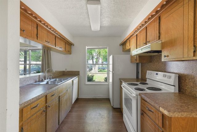 217 Lazy Ln, Conroe, TX 77301 - kitchen featuring white appliances, under cabinet range hood, brown cabinetry, a sink, and a textured ceiling