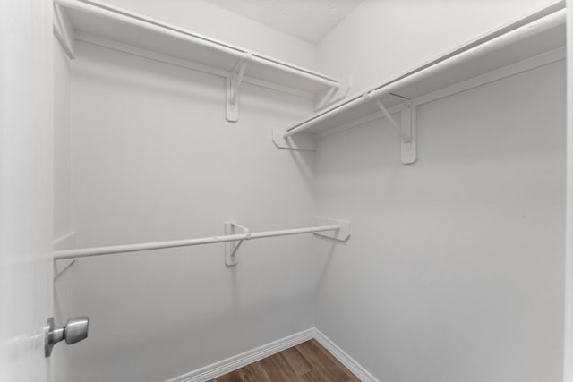 spacious closet with dark wood-style flooring