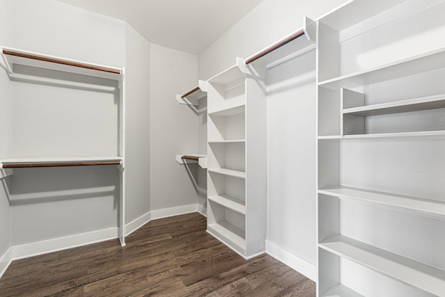 spacious closet with dark wood-style floors