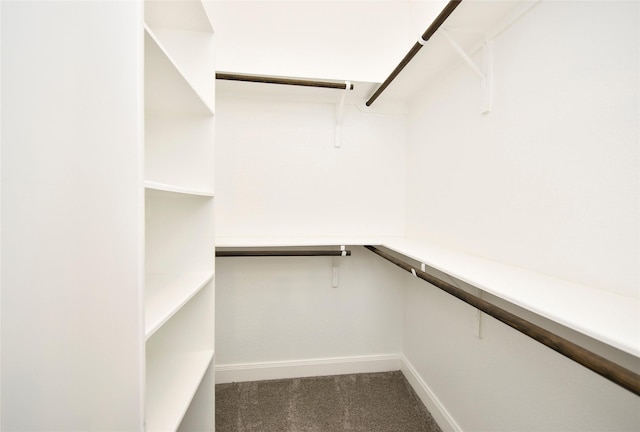 5502 Camaguey St, Houston, TX 77023 - spacious closet with dark carpet