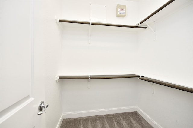 5502 Camaguey St, Houston, TX 77023 - spacious closet featuring carpet flooring
