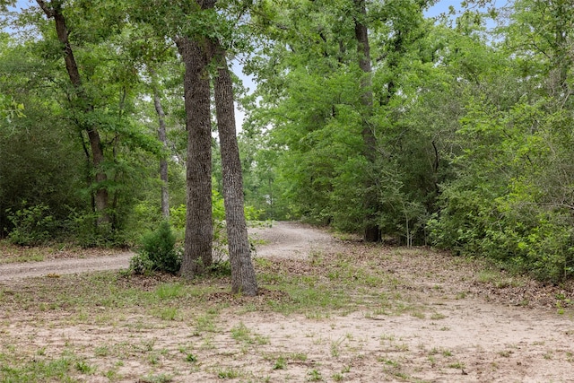 3923 Millican Creek Trl, College Station, TX 77845 - view of wooded area
