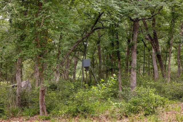 3923 Millican Creek Trl, College Station, TX 77845 - view of wooded area