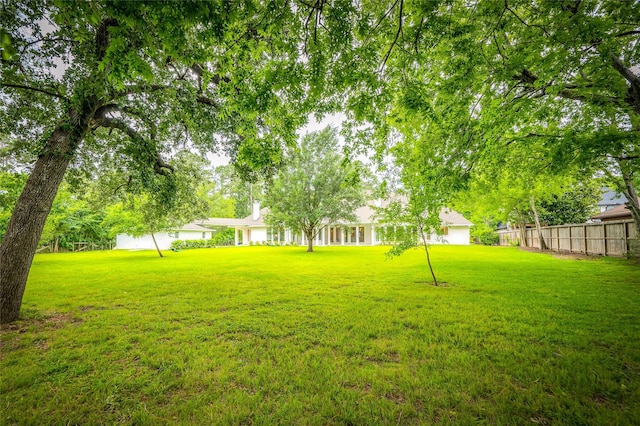522 Rancho Bauer Dr, Houston, TX 77079 - view of yard