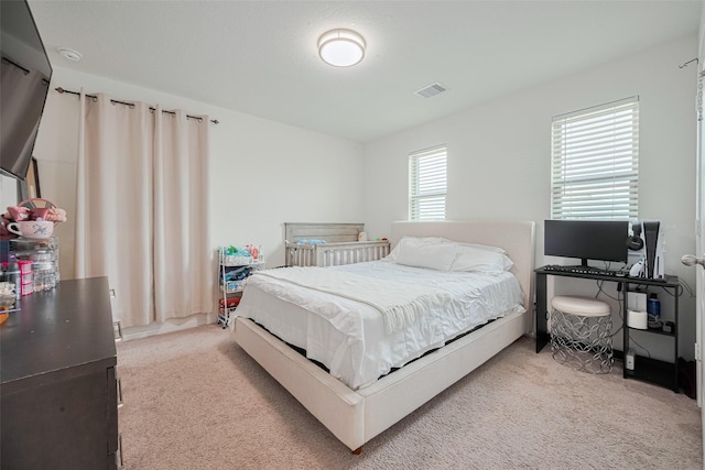20864 Sheffield Park Dr, Porter, TX 77365 - view of carpeted bedroom