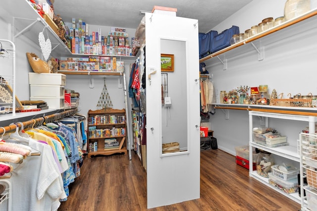 walk in closet featuring wood finished floors