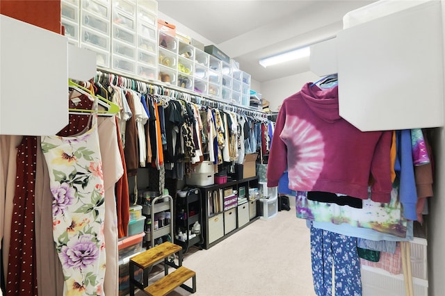 9615 Carson Ln, Iowa Colony, TX 77583 - walk in closet with carpet flooring