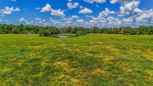 9239 Fm 1696, Bedias, TX 77831