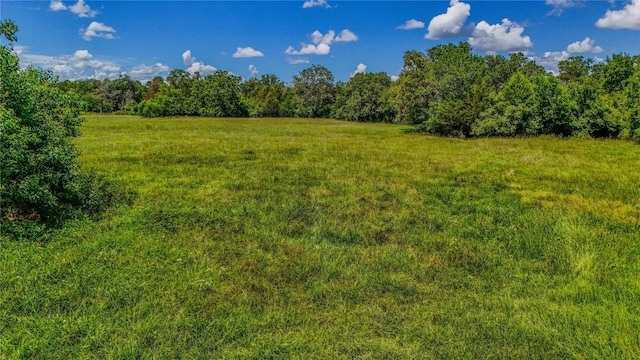 9239 Fm 1696, Bedias, TX 77831