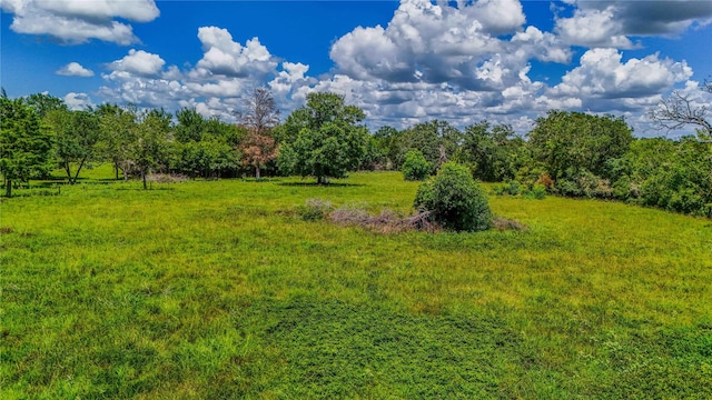 9239 Fm 1696, Bedias, TX 77831