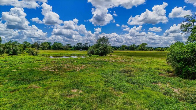 9239 Fm 1696, Bedias, TX 77831