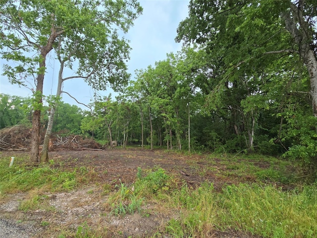3979 Felder Rd, Washington, TX 77880 - photo 1