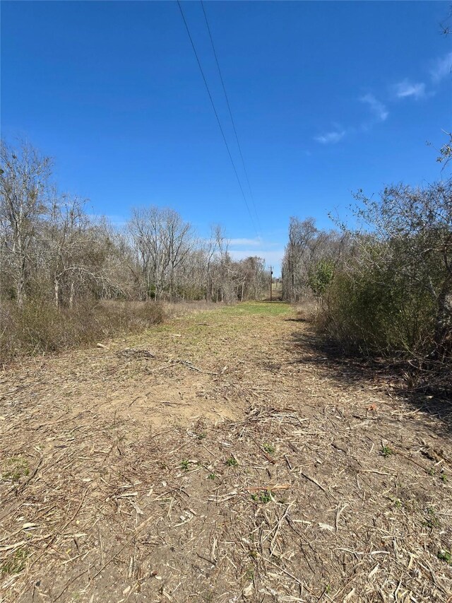 3979 Felder Rd, Washington, TX 77880 - photo 2
