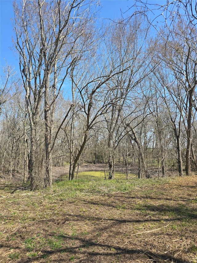 3979 Felder Rd, Washington, TX 77880 - photo 3
