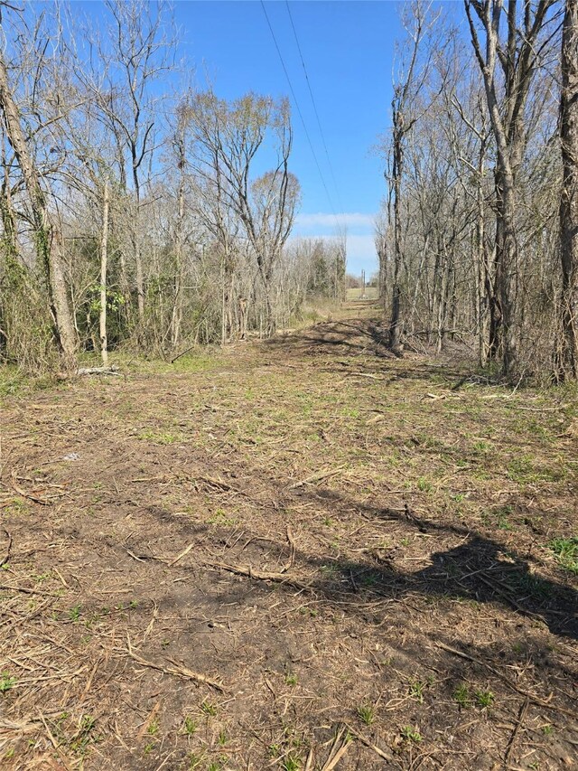3979 Felder Rd, Washington, TX 77880 - photo 4