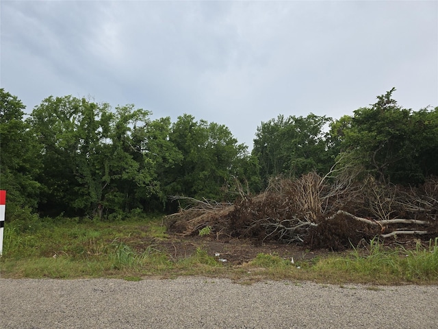 3979 Felder Rd, Washington, TX 77880 - photo 5